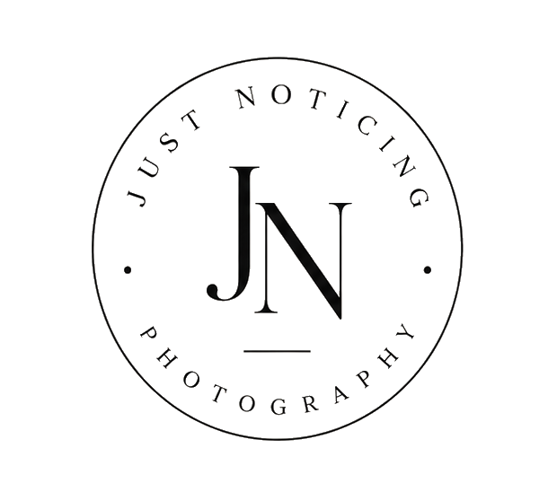 Just Noticing logo